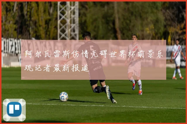 阿尔瓦雷斯伤情无碍世界杯前景乐观记者最新报道