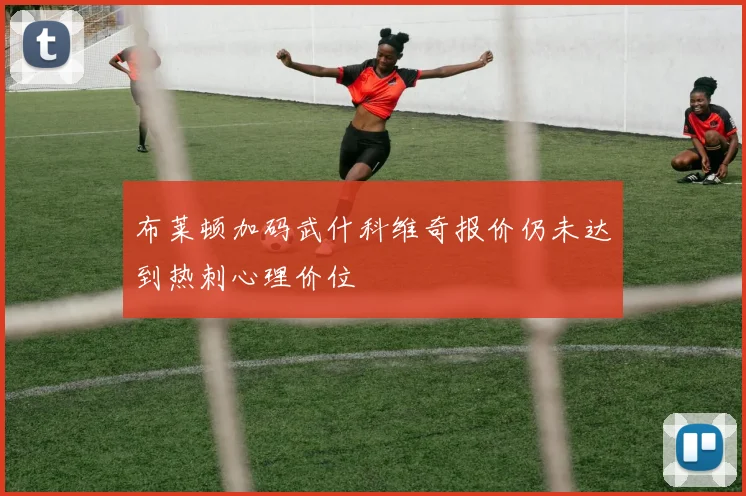 布莱顿加码武什科维奇报价仍未达到热刺心理价位